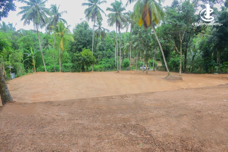 Land for Sale in Gampaha - Commercial Land For Sale in Gampaha - photo 5