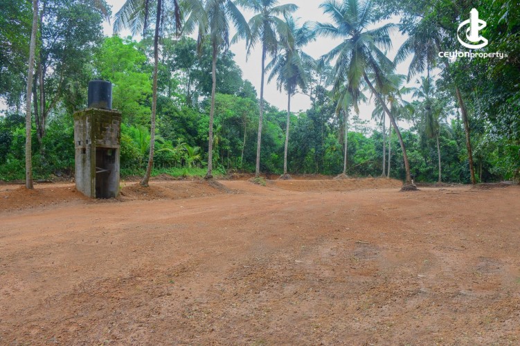 Land for Sale in Gampaha - Commercial Land For Sale in Gampaha - photo 6