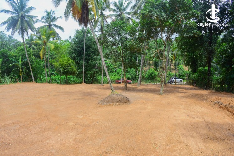 Land for Sale in Gampaha - Commercial Land For Sale in Gampaha - photo 7