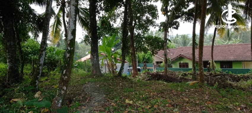 Land for Sale in Kalutara - Residential Land for Sale – Ballapitiya - photo 1