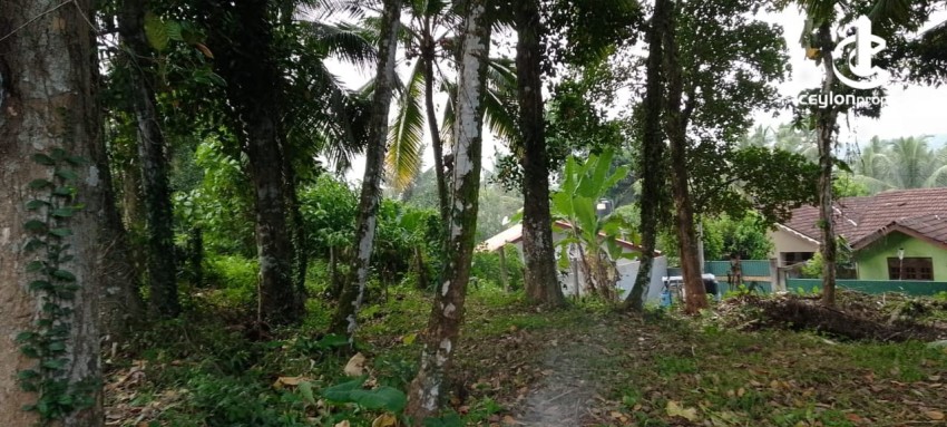 Land for Sale in Kalutara - Residential Land for Sale – Ballapitiya - photo 2