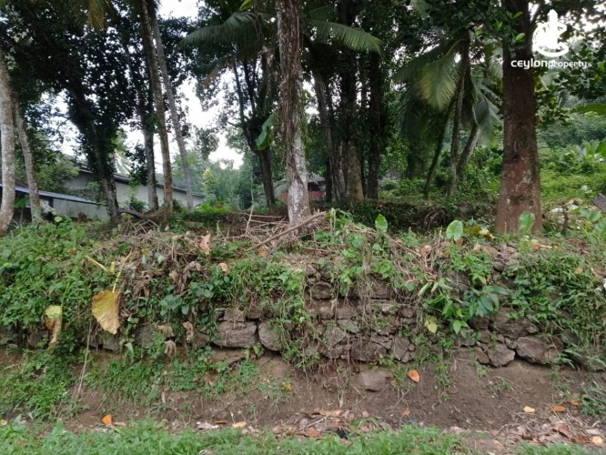 Land for Sale in Kalutara - Residential Land for Sale – Ballapitiya - photo 4