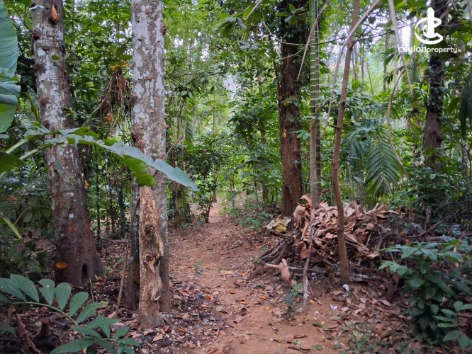Land for Sale in Kandy - Residential Land for Sale – Kandy - photo 2