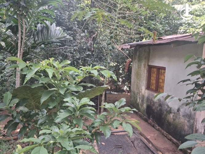 Land for Sale in Kandy - Residential Land for Sale – Kandy - photo 6
