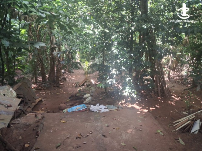 Land for Sale in Kandy - Residential Land for Sale – Kandy - photo 7