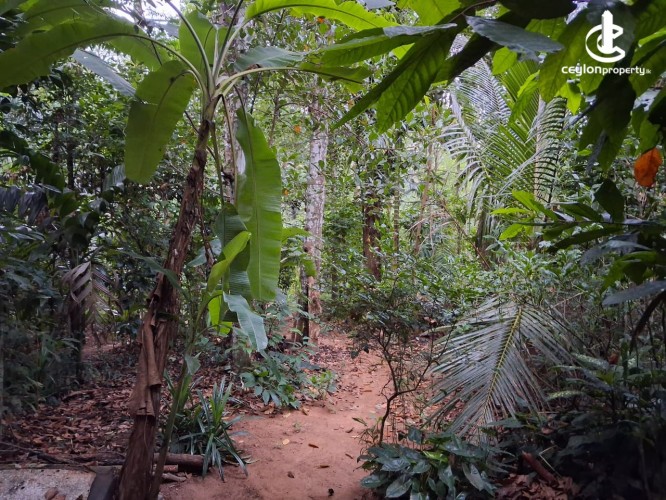 Land for Sale in Kandy - Residential Land for Sale – Kandy - photo 8