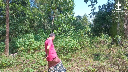 Land for Sale in Pugoda - Land for sale in pugoda