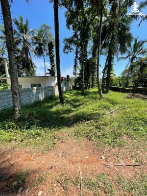 Land for Sale in Kottawa - Land for Sale – Kottawa