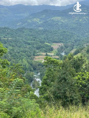 Land for Sale in Digana - Land For Sale in Digana