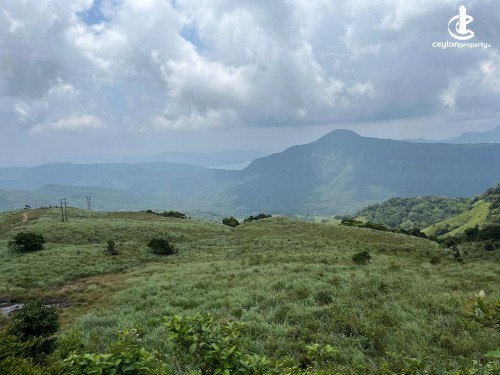 Land for Sale in Matale - 30 Acres For Sale In Riverston