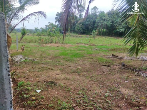 Land for Sale in Hanwella - Urgent sale