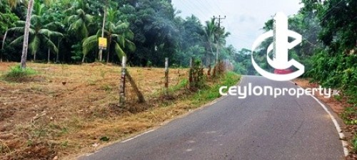 Land for Sale in Kalagedihena - Valuable Commercial Property at Kalagedihena