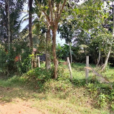 Land for Sale in Bandaragama - Land for Sale in Bandaragama