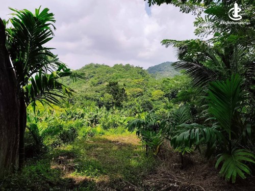 Land for Sale in Alawwa - Land for Sale in Alawwa