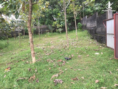 Land for Sale in Hanwella - Land for Sale in Hanwella