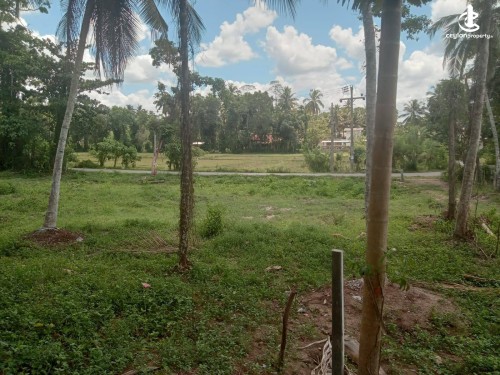 Land for Sale in Horana - Land for Sale in Horana