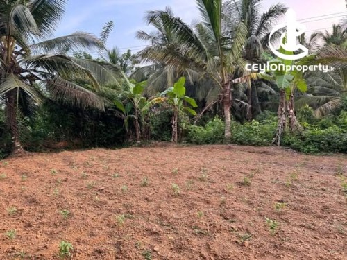 Land for Sale in Kiriwattuduwa - Land for Sale in Kiriwattuduwa
