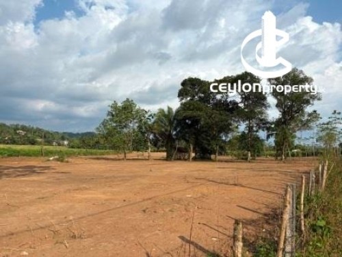 Land for Sale in Galle - Land for Sale in Galle