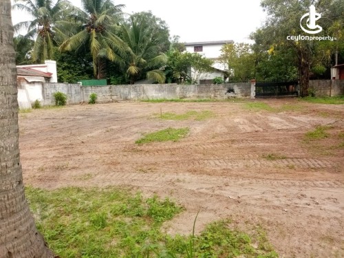 Land for Sale in Ja-Ela - Land for Sale in ja ela