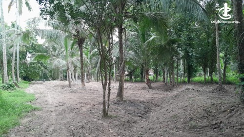 Land for Sale in Badalgama - Land for Sale in Badalgama
