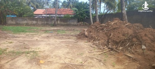 Land for Sale in Kochchikade - Land for Sale in Kochchikade