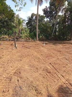 Land for Sale in Gampaha - Land for Sale Muddaragama, Gampaha District