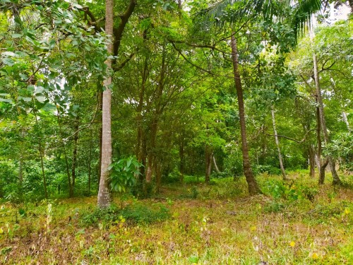 Land for Sale in Agalawatta - Land for Sale in Agalawatta