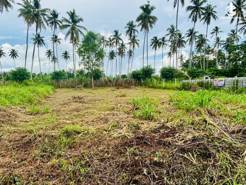 Land for Sale in Badalgama - Land for Sale in Badalgama