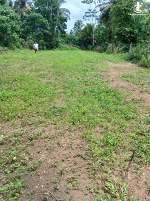 Land for Sale in Bandaragama - Land for Sale in Bandaragama
