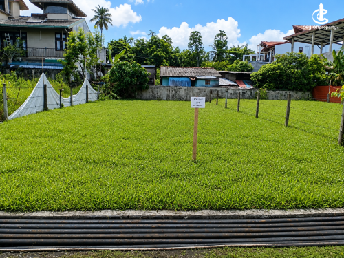 Land for Sale in Boralesgamuwa - Land for Sale in Boralesgamuwa