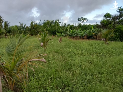 Land for Sale in Galnewa - Land for Sale in Galnewa