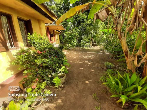 House for Sale in Veyangoda - House for sale in Veyangoda