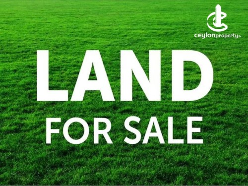 Land for Sale in Pugoda - House for sale in pugoda