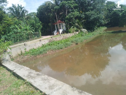 Land for Sale in Yakkala - Land for Sale in Yakkala