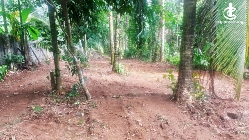 Land for Sale in Nittambuwa - Land for Sale in Nittambuwa