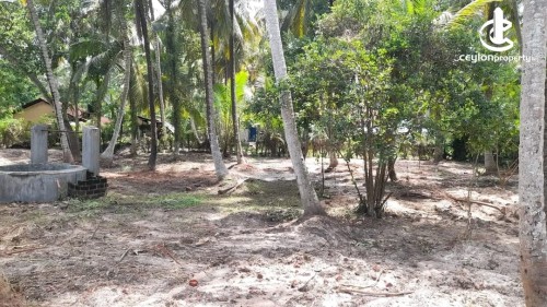 Land for Sale in Chilaw - Land for Sale in Chilaw