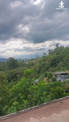 Land for Sale in Bandarawela - Land for Sale in Bandarawela