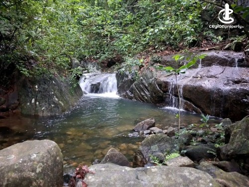Land for Sale in Bulathkohupitiya - Land for Sale in Bulathkohupitiya