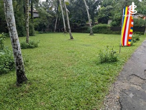 Land for Sale in Watareka - Land for Sale in watareka