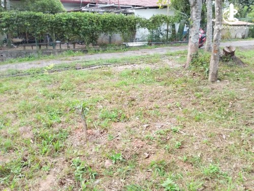 Land for Sale in Nittambuwa - Land for Sale in Nittambuwa
