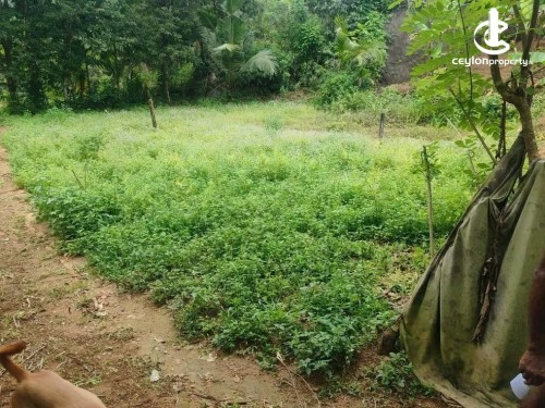 Land for Sale in Watareka - Land for Sale in watareka