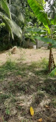 Land for Sale in Nittambuwa - Land for Sale in Nittambuwa