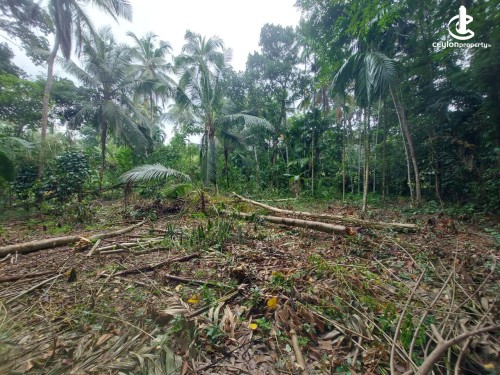 Land for Sale in Gampaha - Land for Sale in Gampaha