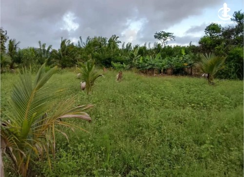 Land for Sale in Galnewa - Land for Sale – Galnewa