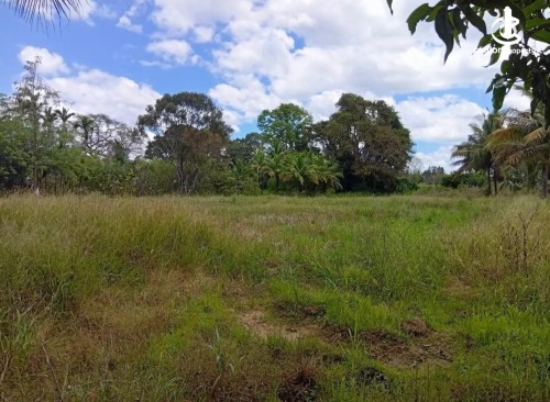 Land for Sale in Monaragala - Land for Sale – Monaragala
