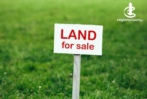 Land for Sale in Anuradhapura - Land Plots & Half-Built Houses for Sale – Anuradhapura