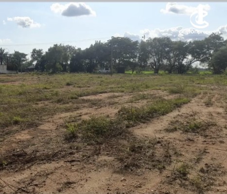 Land for Sale in Nikaweratiya - Land for Sale – Nikaweratiya–Daladagama Road
