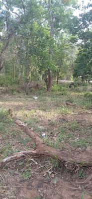 Land for Sale in Kataragama - Land for sale in kataragama
