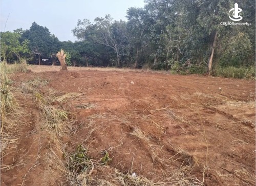 Land for Sale in Anuradhapura - Land for sale in Anuradapura