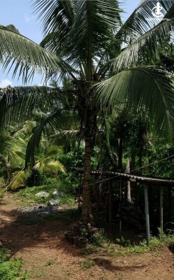 Land for Sale in Dompe - Valuable Residential Land for Sale – dompe